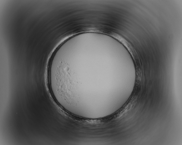 X0000093371147200711081519