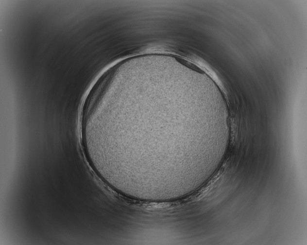 X0000093371148200711081519