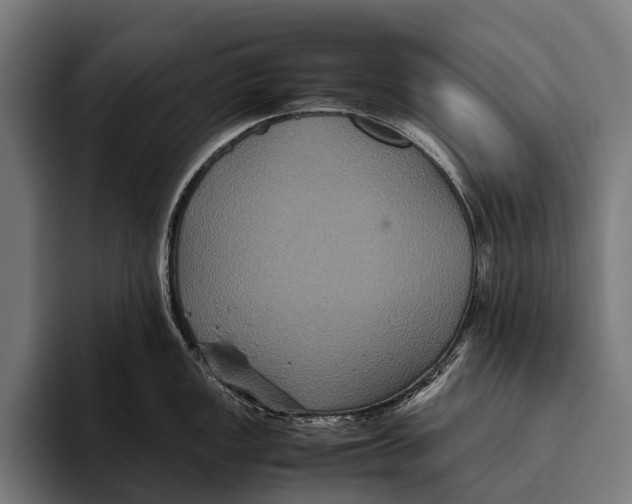 X0000093371149200711081520