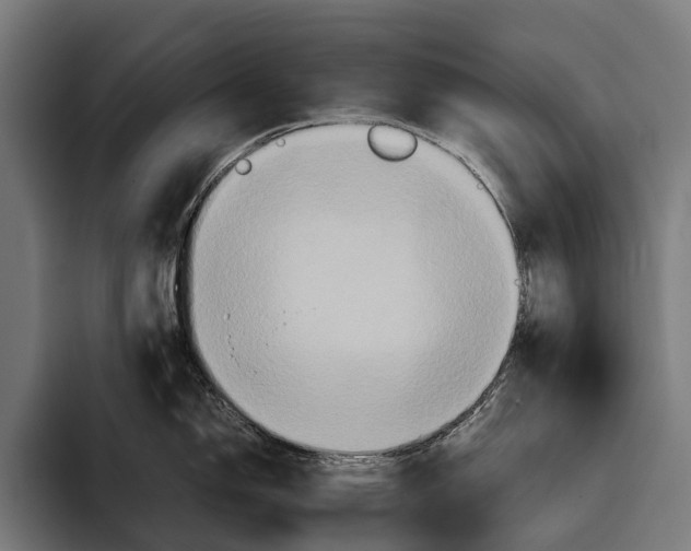 X0000093371150200711081520