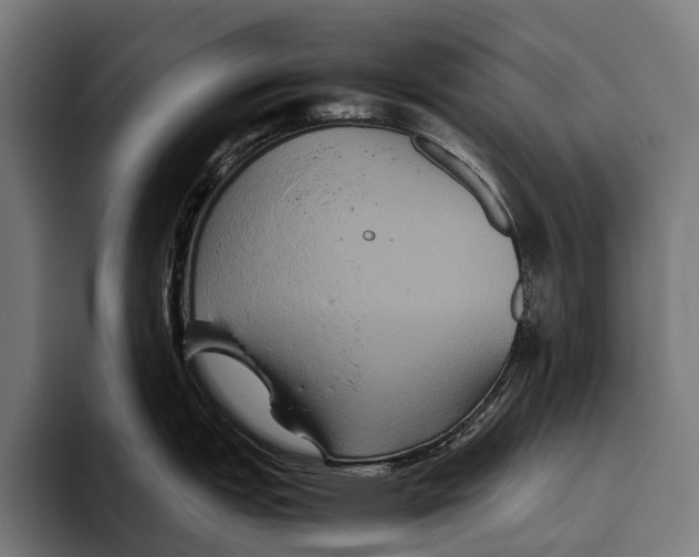 X0000093371151200711081520