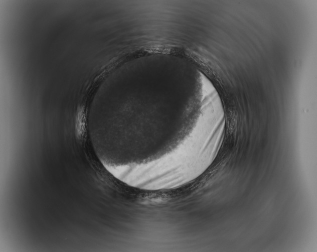 X0000093371154200711081519