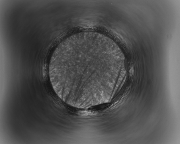 X0000093371156200711081519