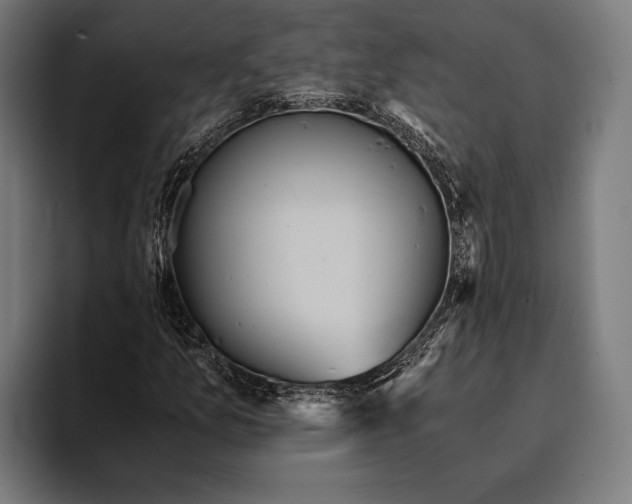 X0000093371157200711081519