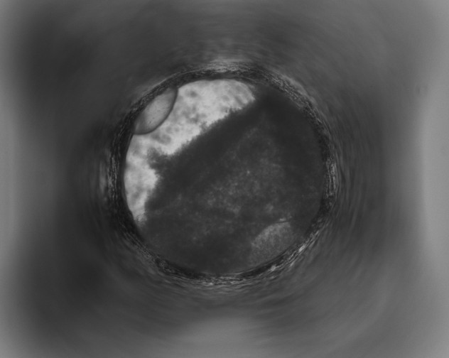 X0000093371158200711081519