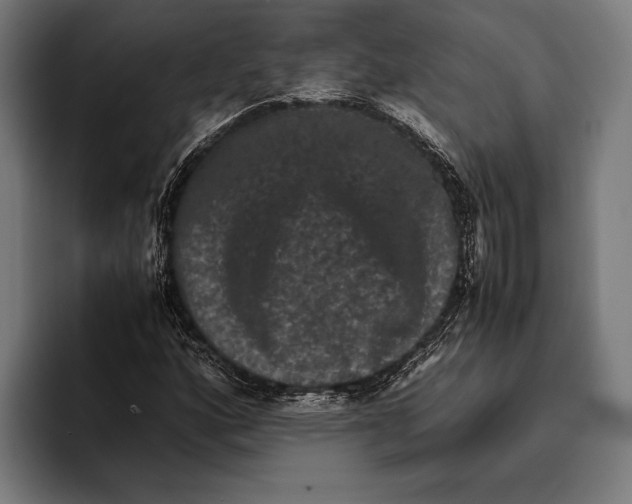 X0000093371160200711081519