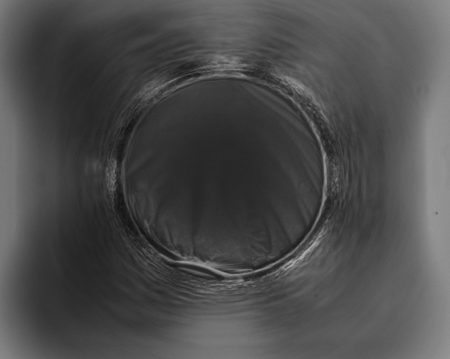 X0000093371161200711081519