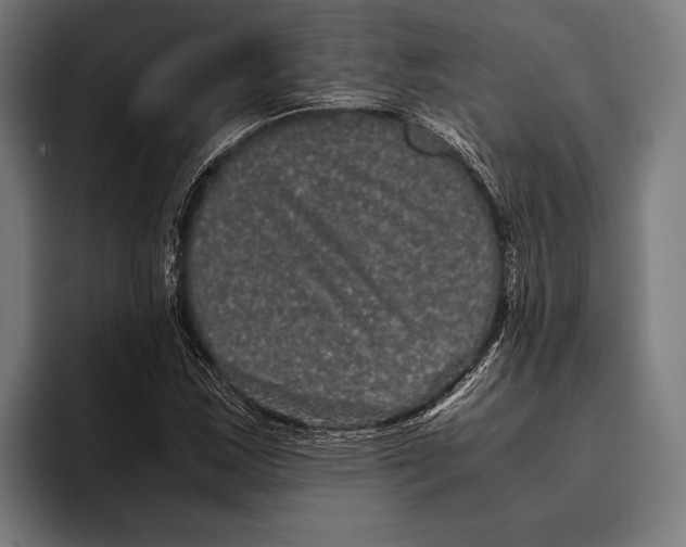X0000093371163200711081519