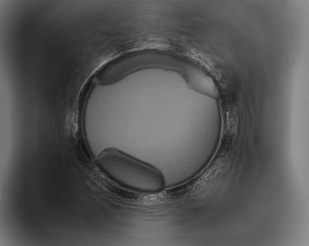 X0000093371165200711081519