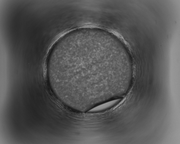 X0000093371167200711081519