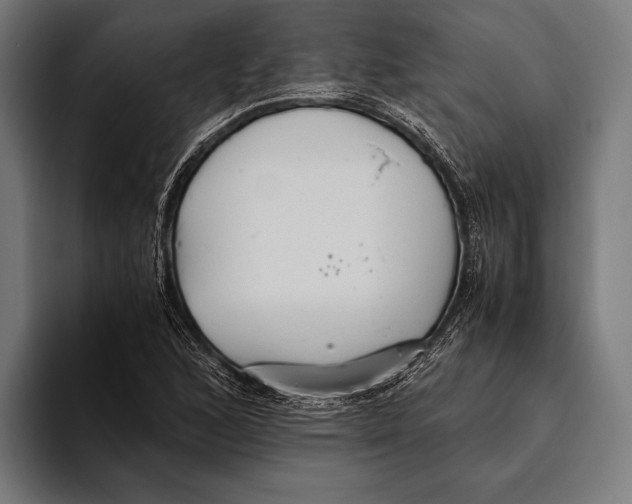 X0000093371168200711081519