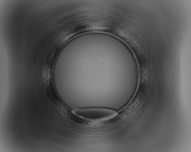 X0000093371169200711081519