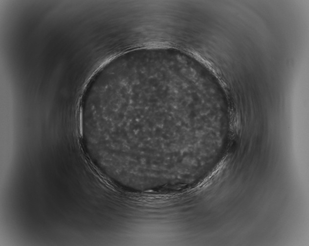 X0000093371171200711081519