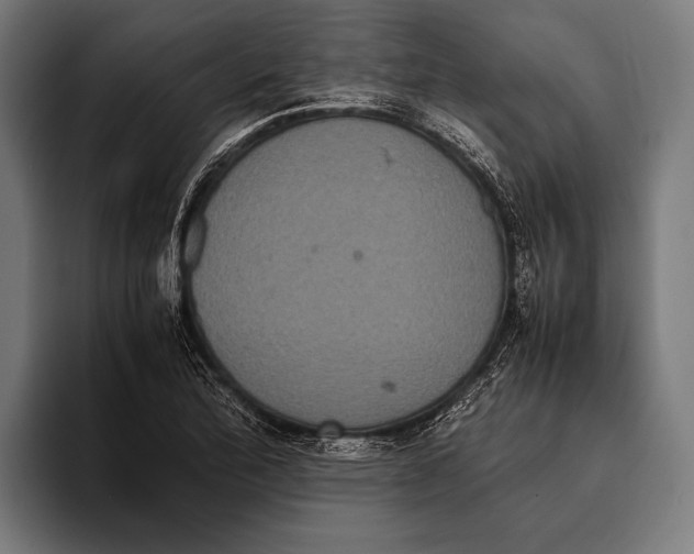 X0000093371172200711081519