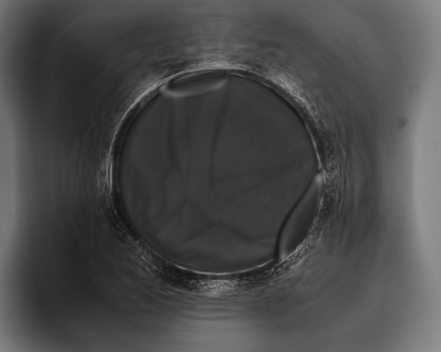 X0000093371173200711081519