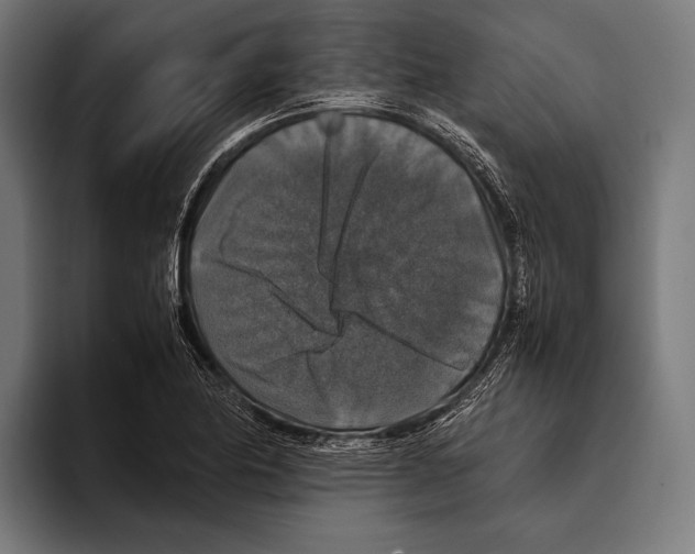 X0000093371174200711081519