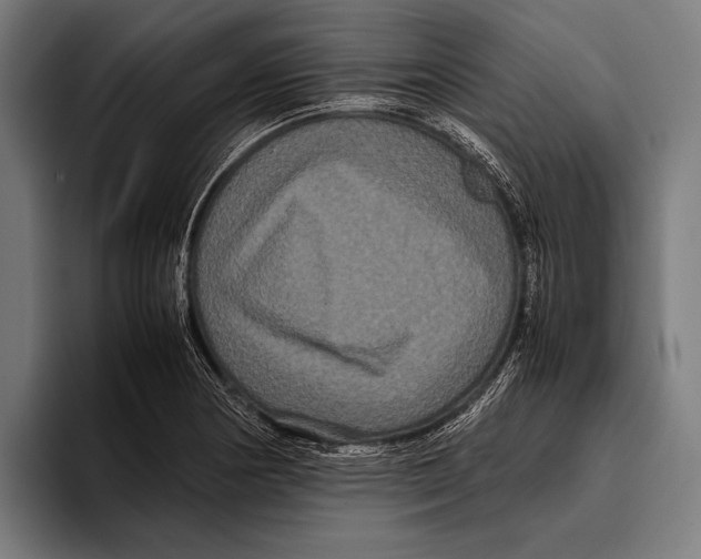 X0000093371178200711081519