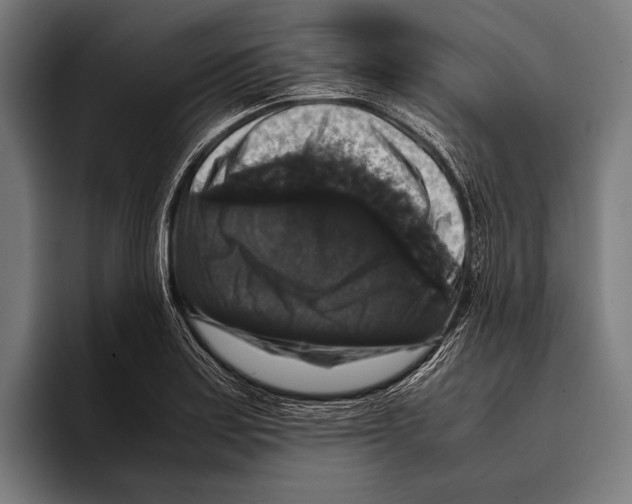 X0000093371179200711081519
