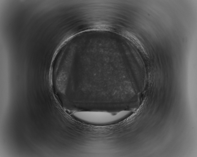 X0000093371180200711081519