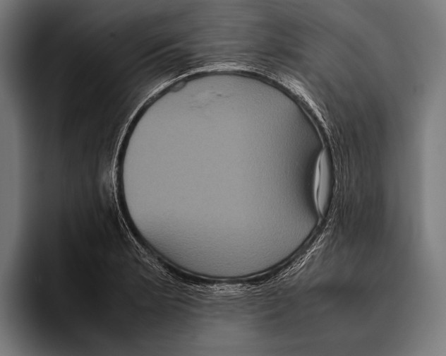 X0000093371181200711081519