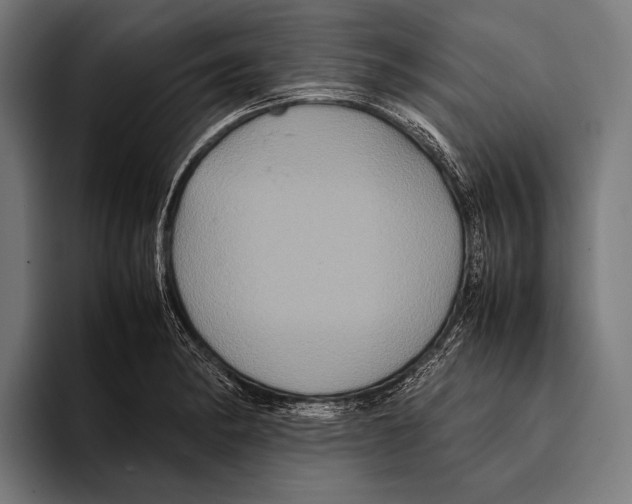 X0000093371182200711081519