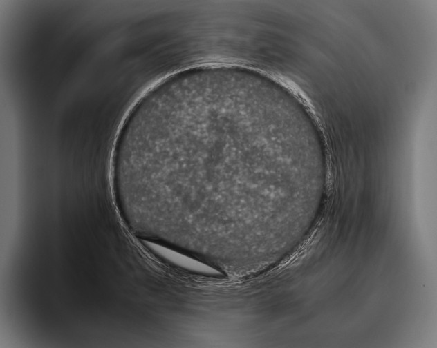 X0000093371183200711081519