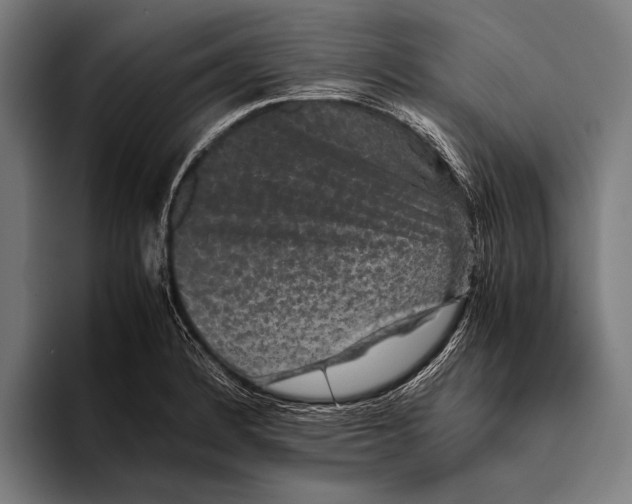 X0000093371184200711081519