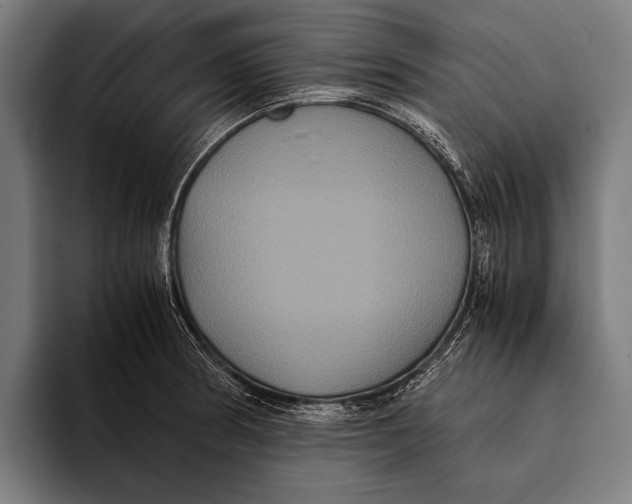 X0000093371186200711081518