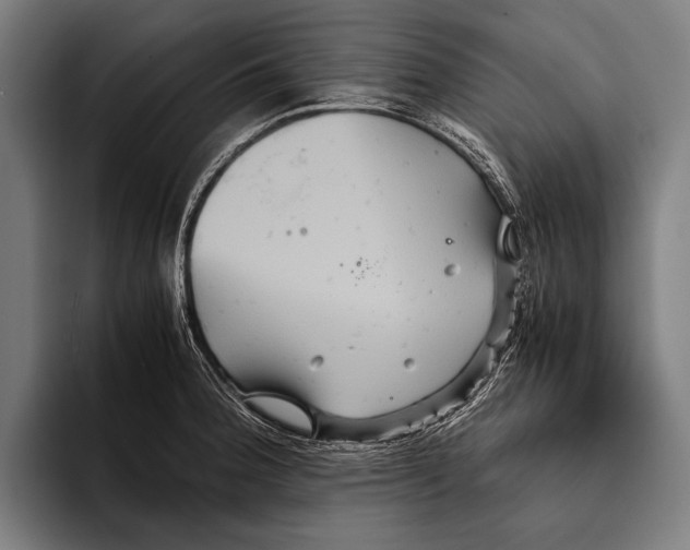 X0000093371188200711081518