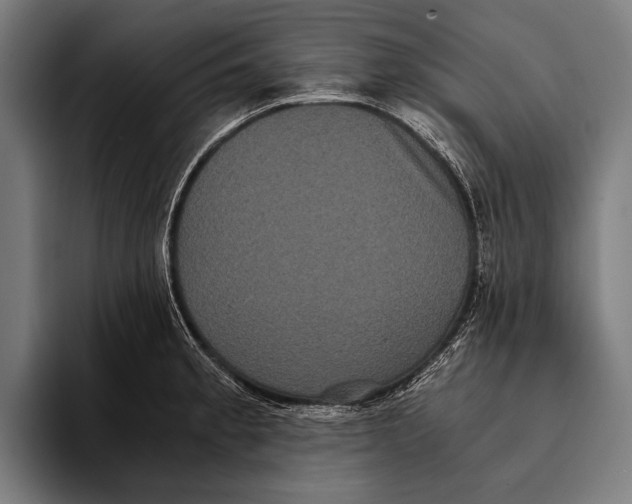 X0000093371189200711081518