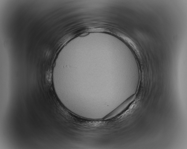 X0000093371193200711081518