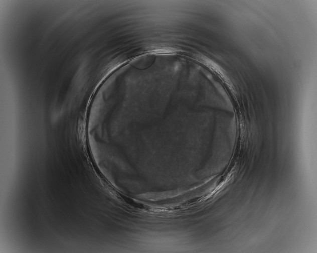 X0000093371194200711081518