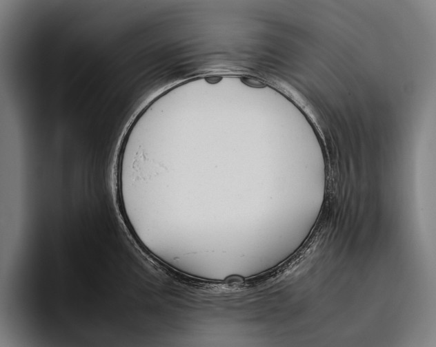 X0000093371195200711081518