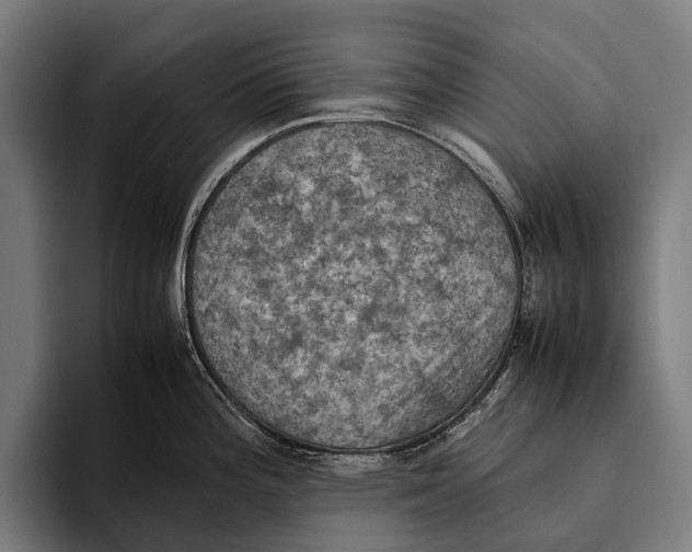 X0000093371196200711081518