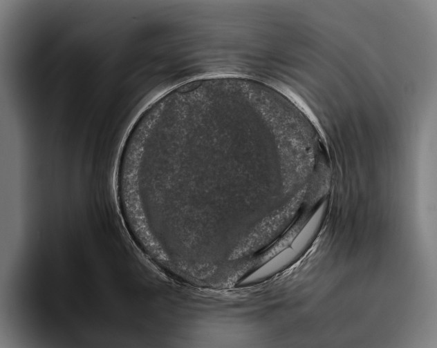 X0000093371197200711081518
