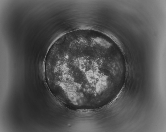 X0000093371198200711081518