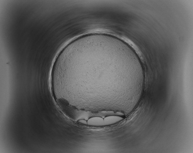 X0000093371199200711081518