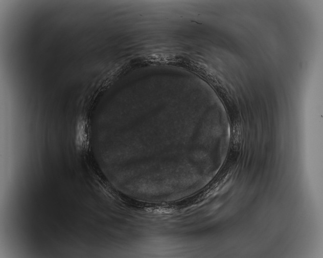 X0000093371202200711081518