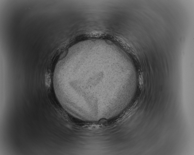 X0000093371204200711081518