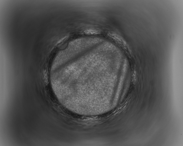 X0000093371205200711081518