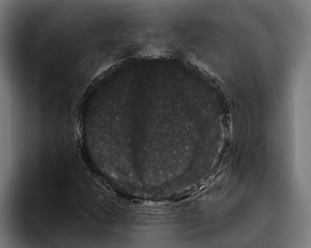 X0000093371206200711081518