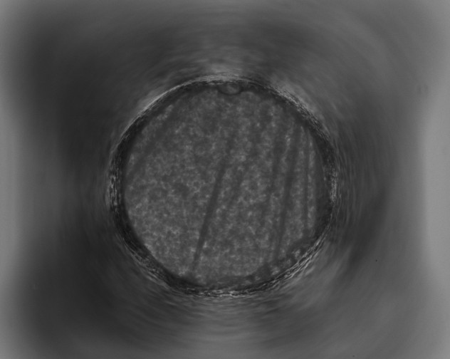 X0000093371208200711081518