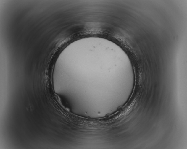 X0000093371210200711081518