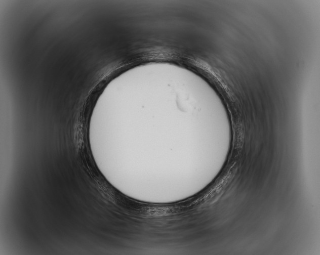 X0000093371211200711081518