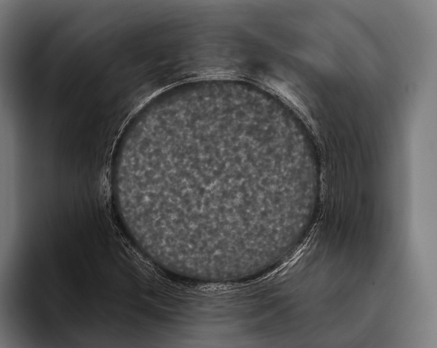 X0000093371212200711081518