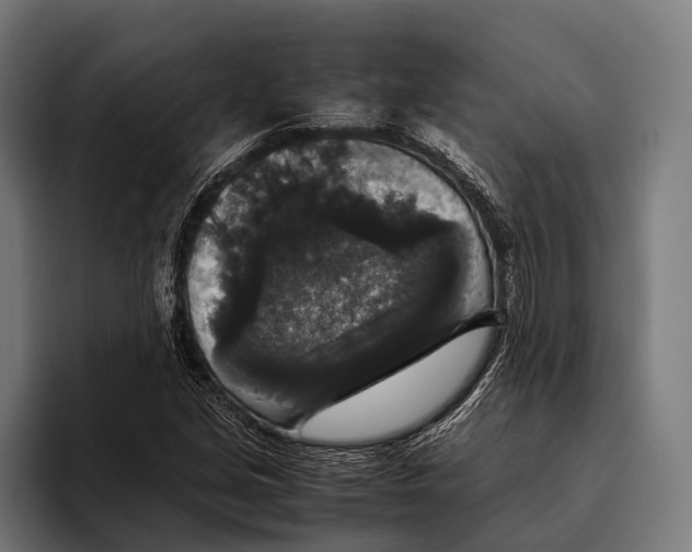 X0000093371213200711081518