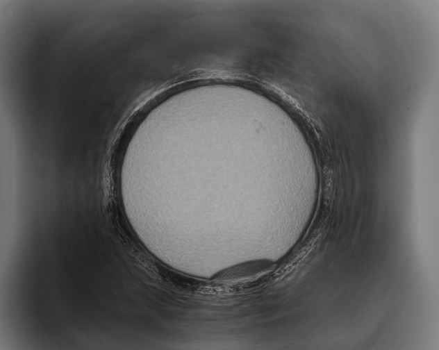 X0000093371215200711081518
