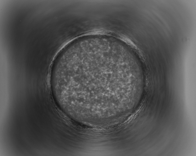 X0000093371216200711081518