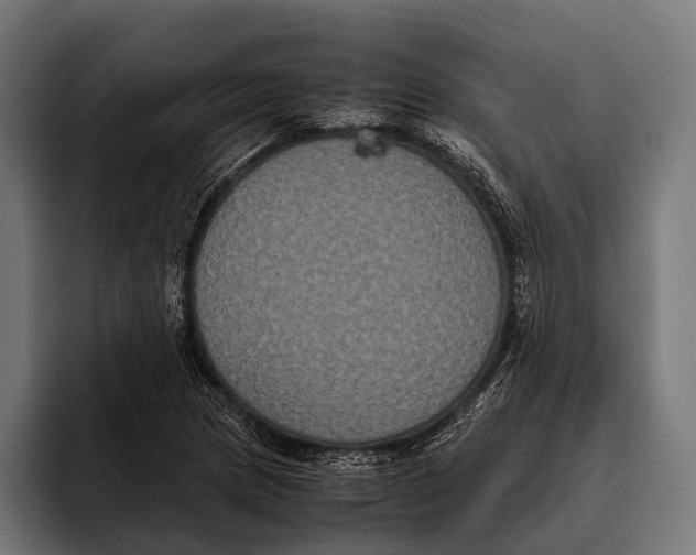 X0000093371217200711081518