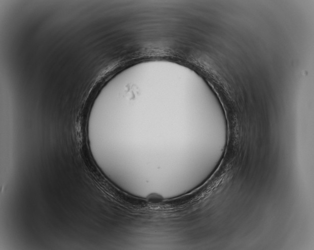 X0000093371218200711081518